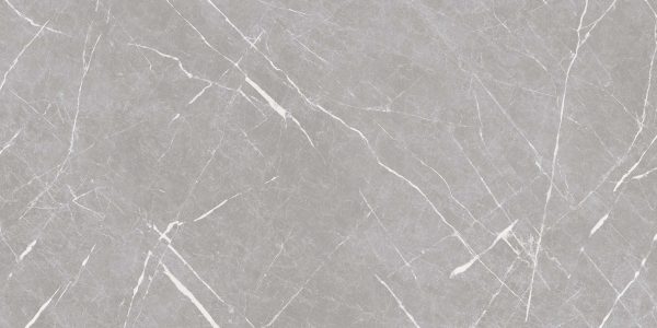 APANA-GRAY-60X120-FACE4