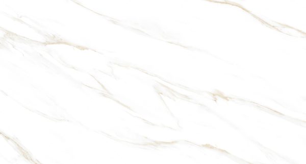 CARRARA-60X120-FACE2