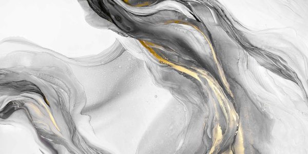 Waldo-Drak Gray-A (1)