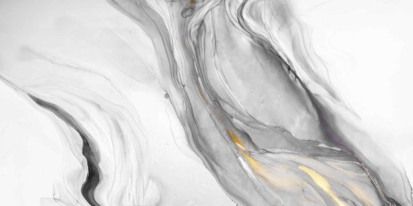 Waldo-Drak Gray-B (1)